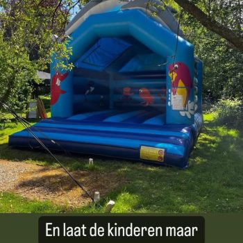 dolfijnsfeer1