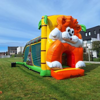 Tiger run tiger10