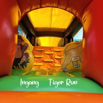 Tiger run tiger5
