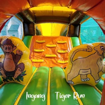 Tiger run tiger6