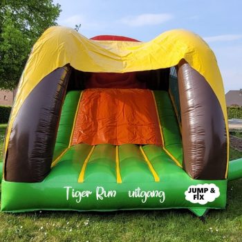 Tiger run tiger7
